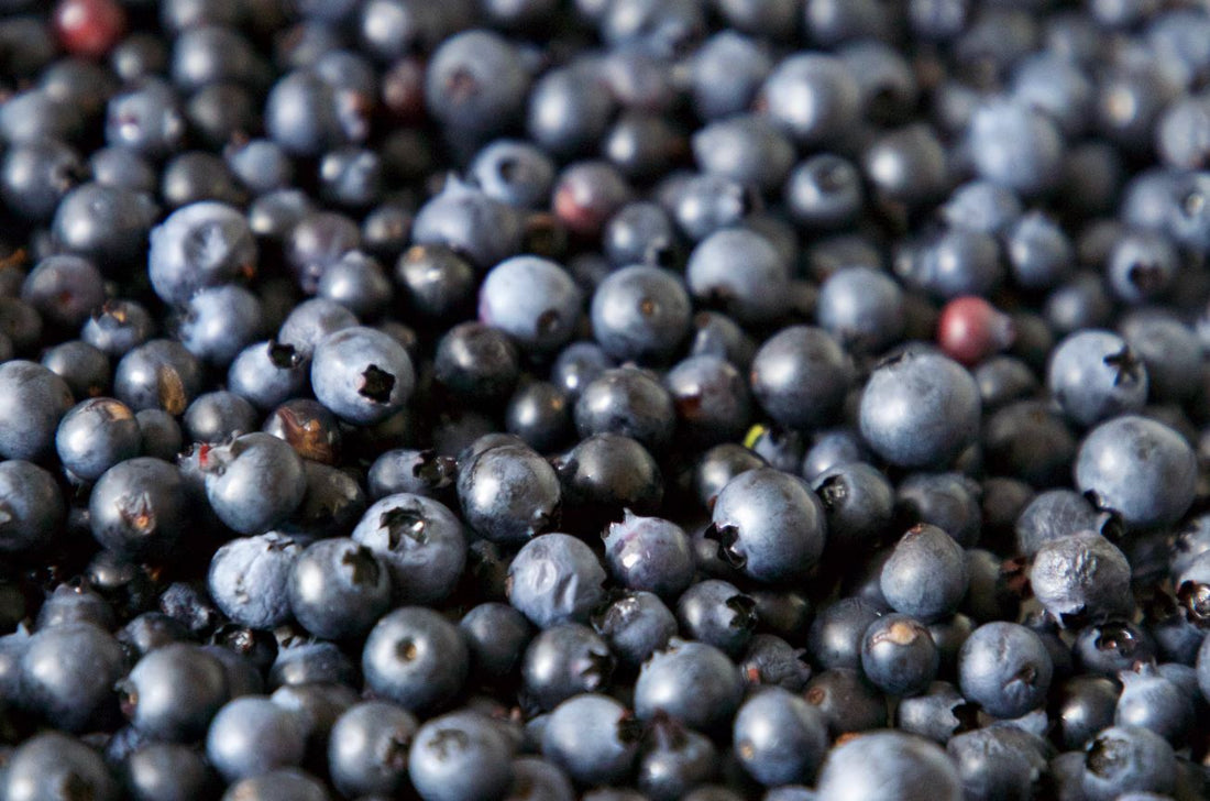 Why antioxidants are essential to your diet