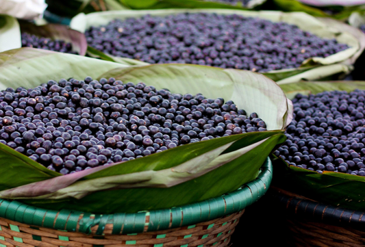Top Benefits of Acai Berry Organic Extract Powder