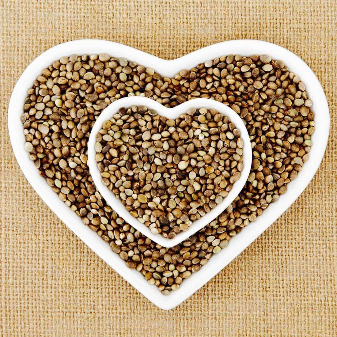 Tassie Hemp Seeds Now in Stock!