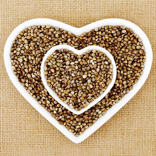 Tassie Hemp Seeds Now in Stock!