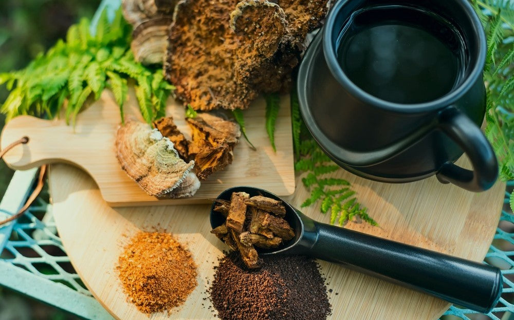 Superfood Mushrooms: Dive Deep into the Health Benefits of Fungi
