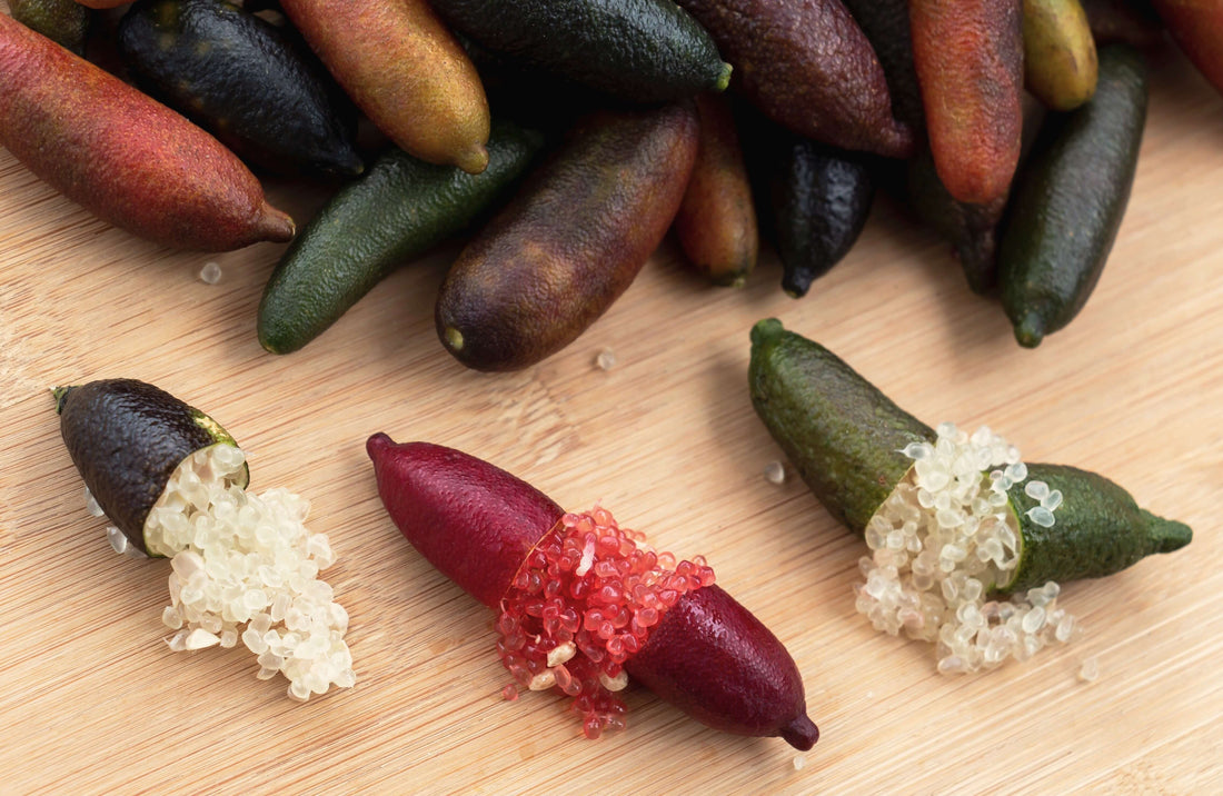 A Comprehensive Guide to Australia's Indigenous Superfoods