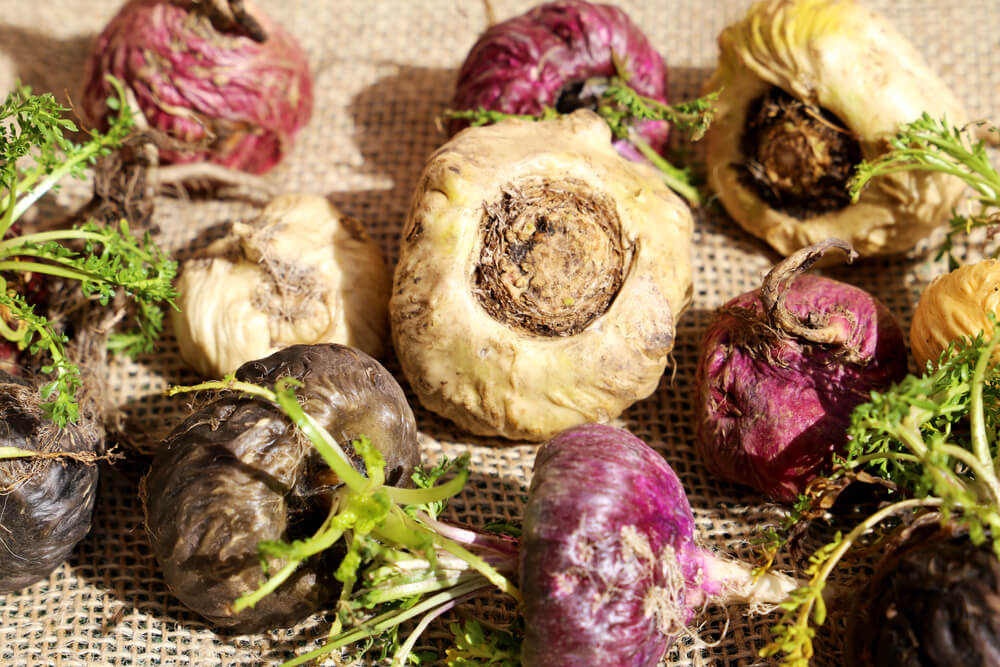 How Maca Root Can Help Balance Hormones