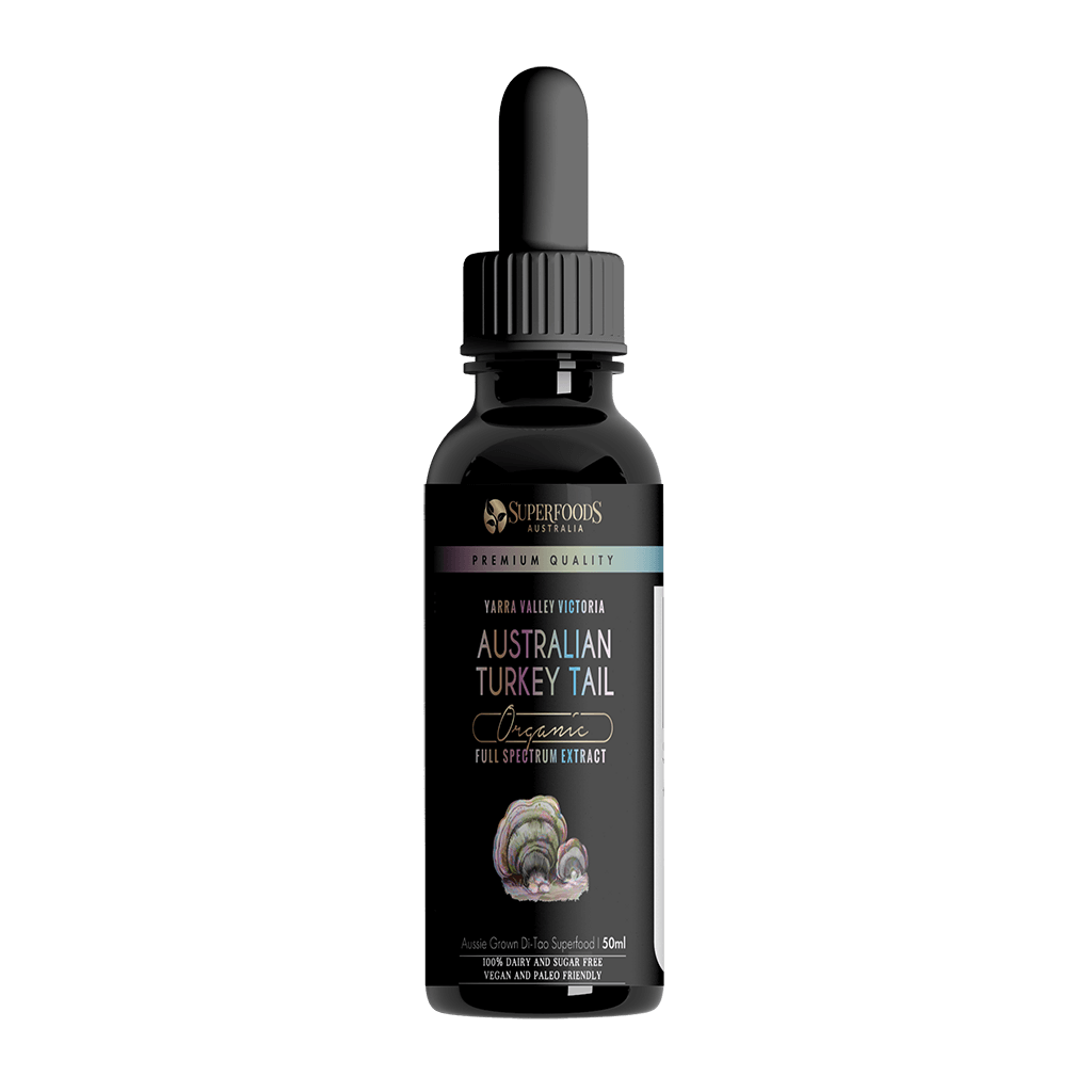 Turkey Tail Mushroom Extract Powder