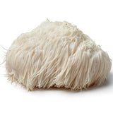 Australian Grown Lion's Mane Fruit Body