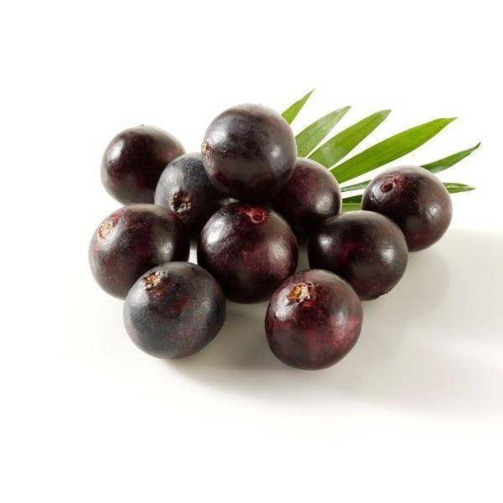 Acai Berry 10:1 Organic Extract Powder