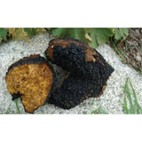 Super 6 Mushroom Espresso Coffee