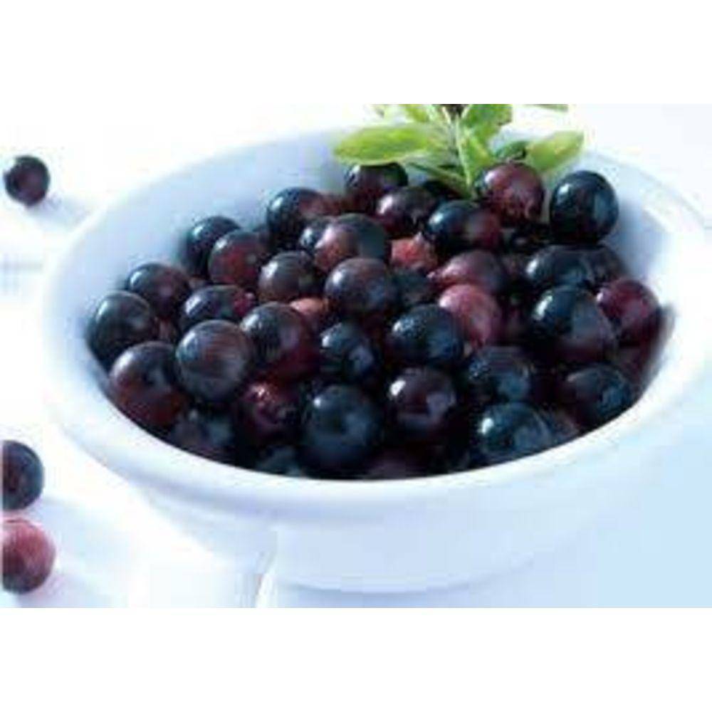 Acai Berry 10:1 Organic Extract Powder