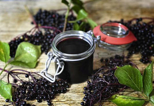 Benefits of Elderberry: Why it’s really good for you