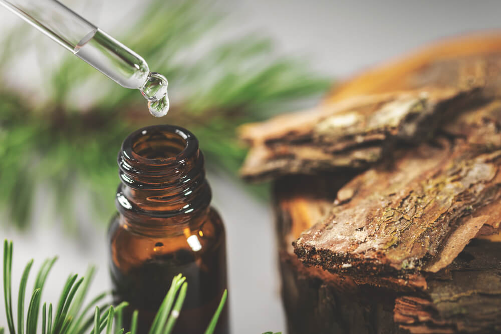 Facts You Need To Know About Tinctures