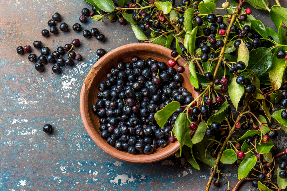 Six Fascinating Health Benefits of the Maqui Berry