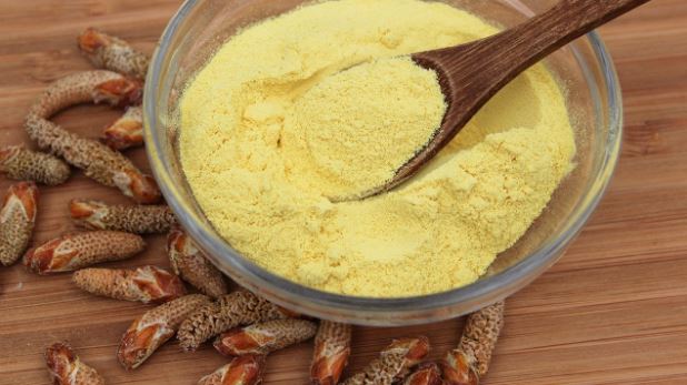 Are You Looking For More Amino Acids In Your Diet? Try Pollen