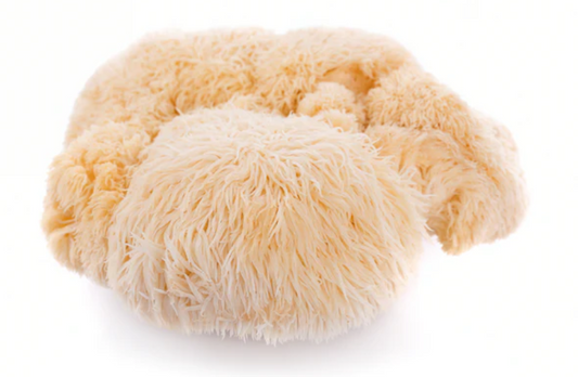 How Lion's Mane Mushroom Could Help With Your Brain Health