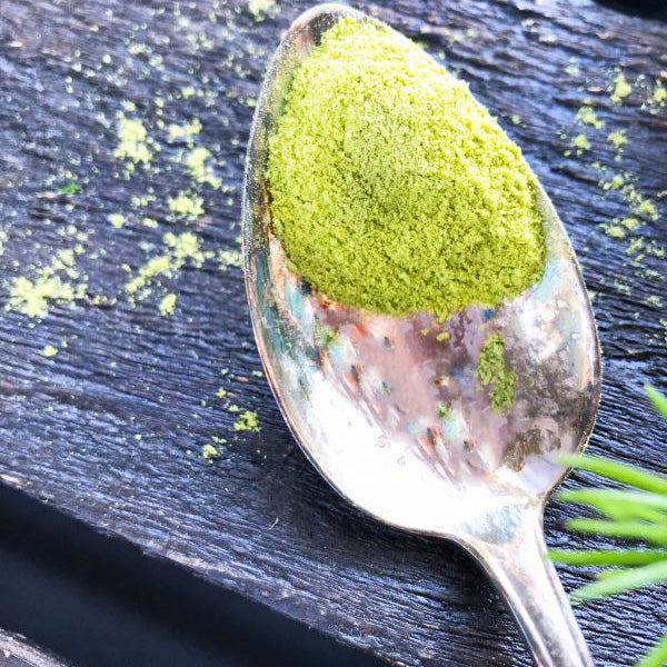 Everything You Need to Know About Kerkka Spruce Sprout Powder