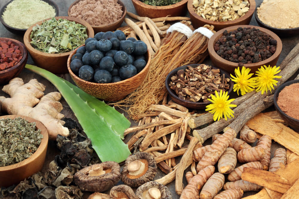 A Deep Dive into Adaptogens: What They Are and How They Benefit Your Health