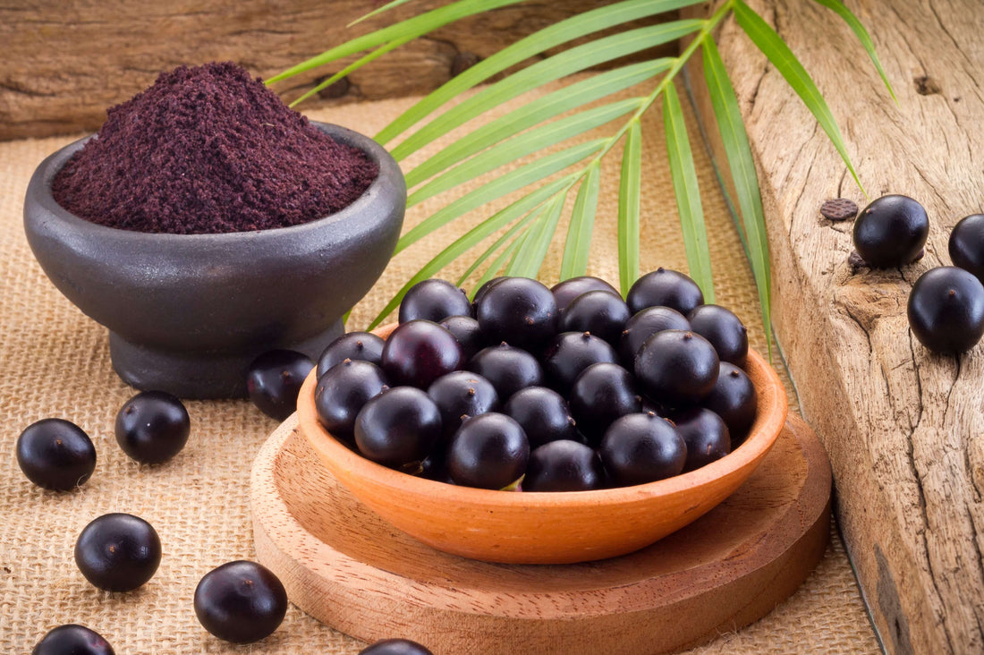 Everything You Need to Know About the Acai Berry