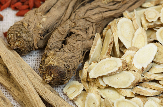 Astragalus Benefits: How This Root Boosts Your Health & Wellness