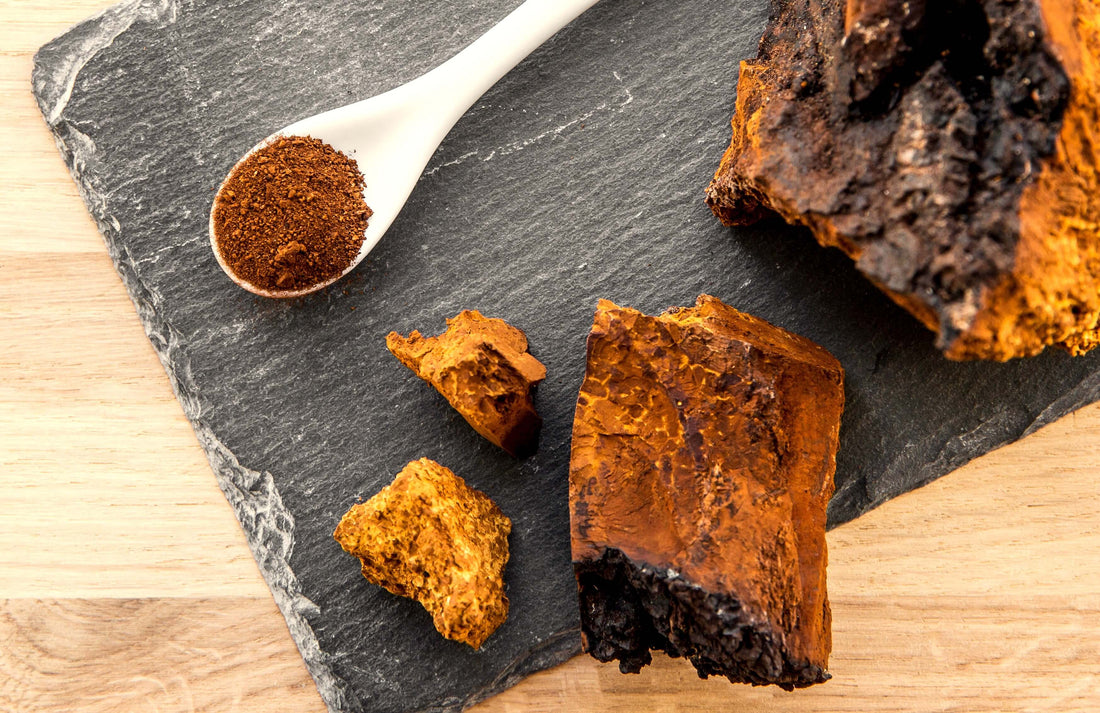 Chaga's Role in Supporting Digestive Health
