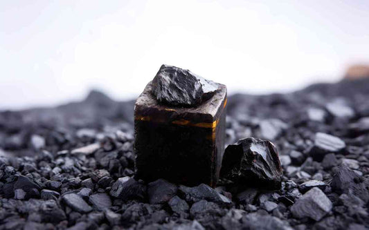 Does Shilajit Help to Improve the Immune System?