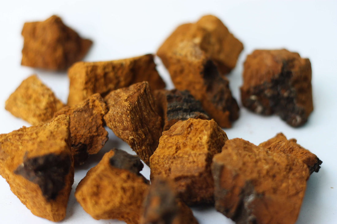Nourishing Your Skin from Within with Chaga Mushrooms