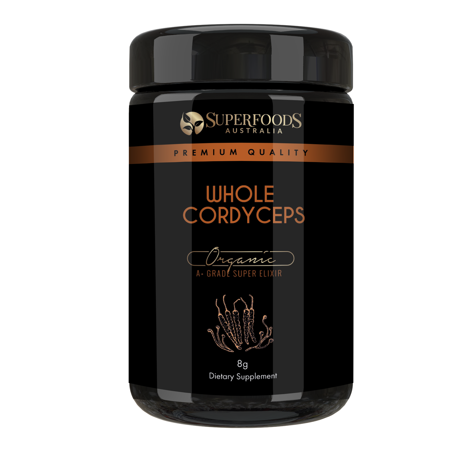 Cordyceps