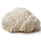 Australian Grown Lion's Mane Capsules