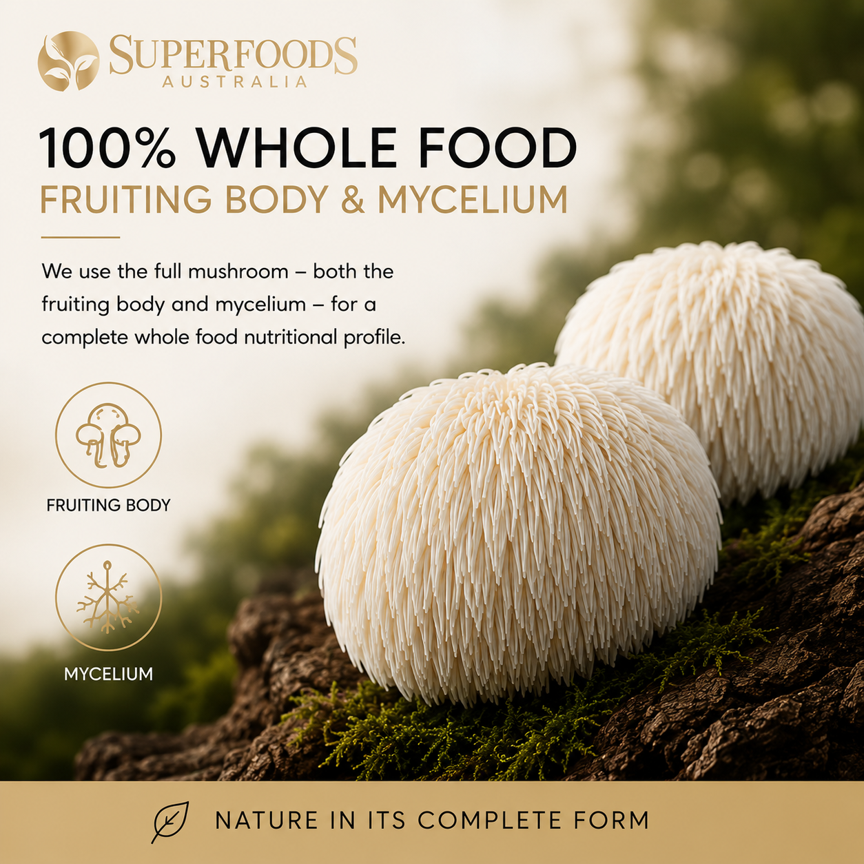 Australian Grown Lion's Mane Capsules