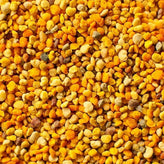Green Tea Pollen Camellia Sinensis