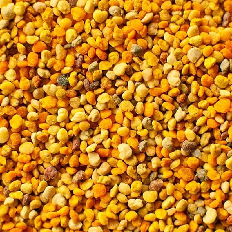 Green Tea Pollen Camellia Sinensis