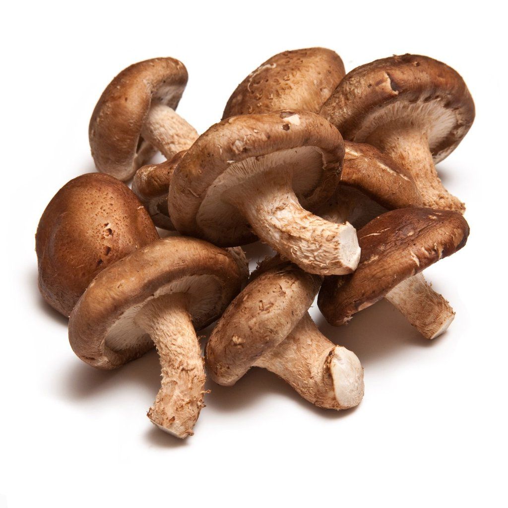 Australian Grown Shiitake Mushroom