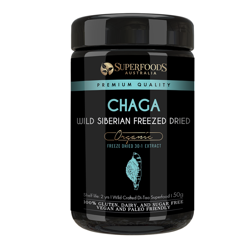 Freeze Dried Siberian Chaga Mushroom Extract Powder