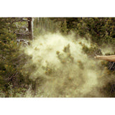 Pine Pollen Powder Cracked Cell Wall