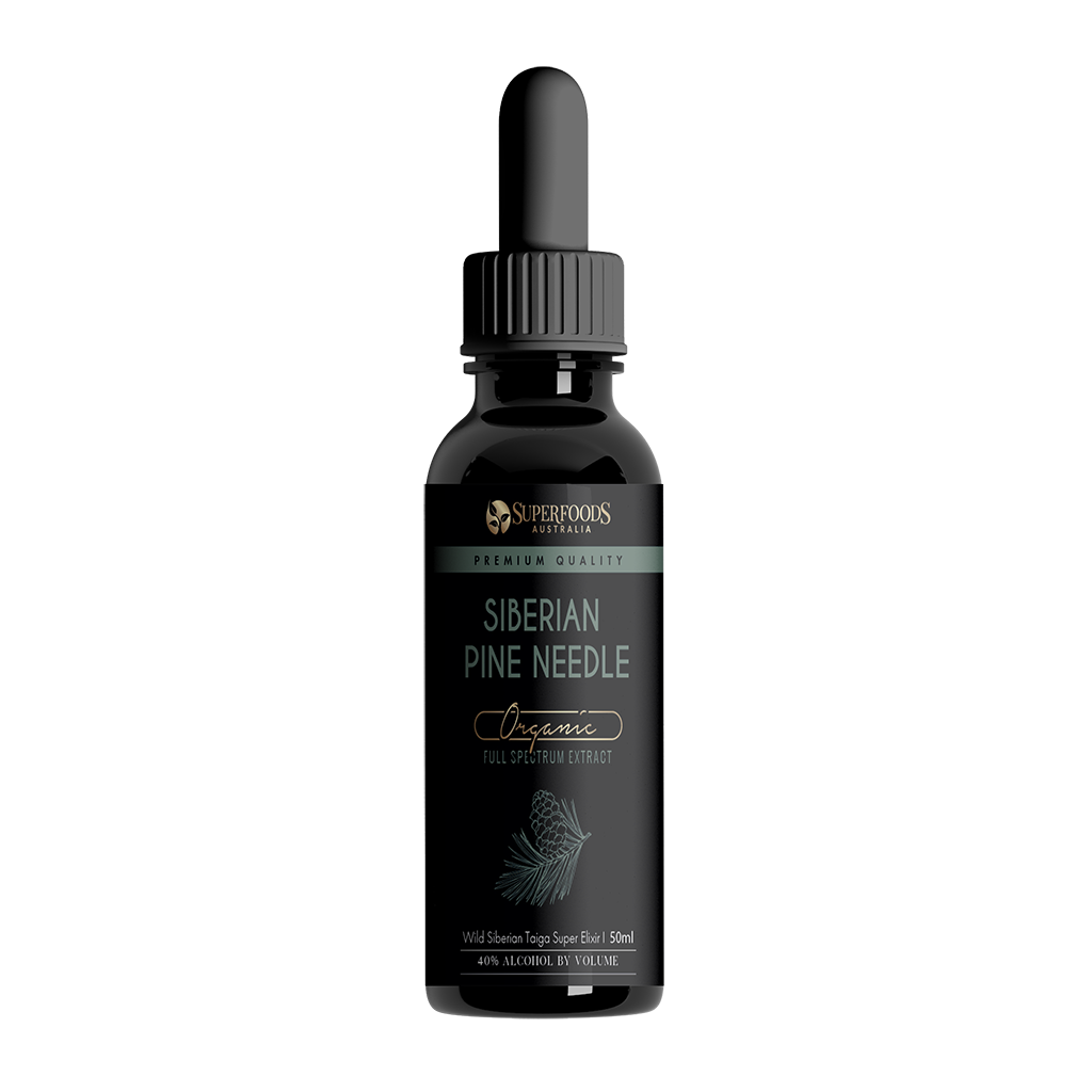 Pine Needle Tincture