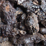 Shilajit Tincture 10:1
