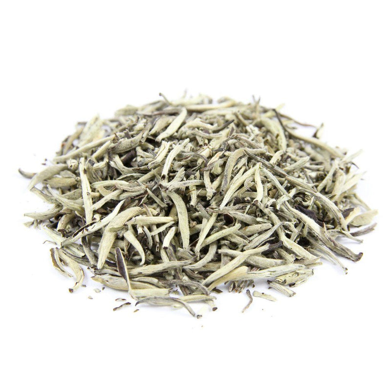 Silver Needle White Tea Tincture