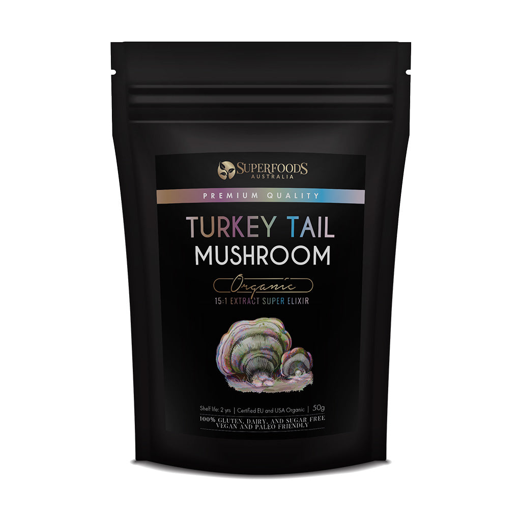 Turkey Tail Mushroom Extract Powder