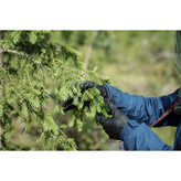 Kerkka Spruce Needle Sprout Powder
