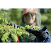 Kerkka Spruce Needle Sprout Powder