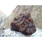 Shilajit Tincture 10:1